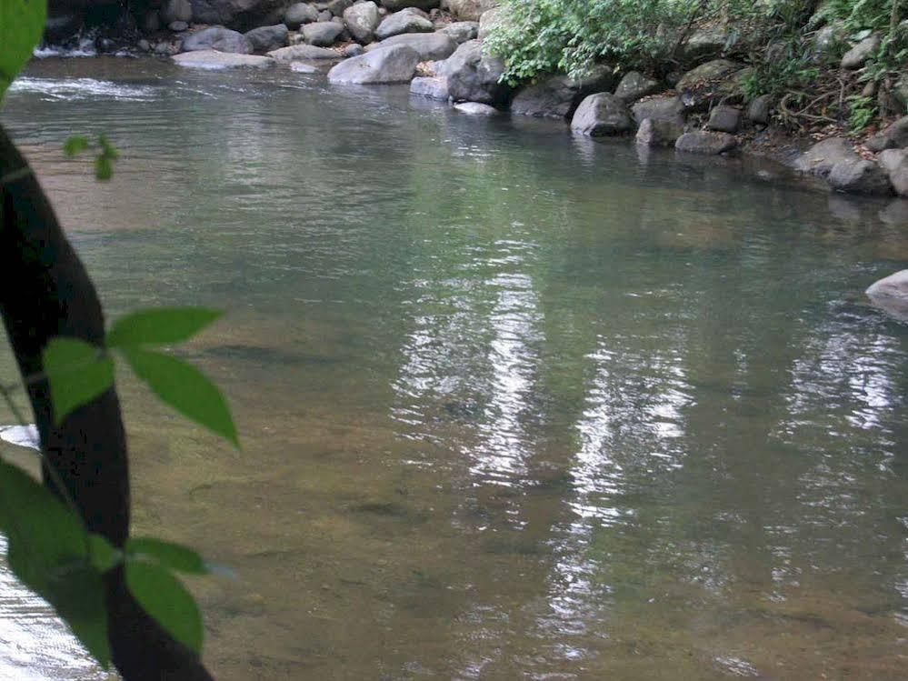River Garden Resort Belihuloya Εξωτερικό φωτογραφία